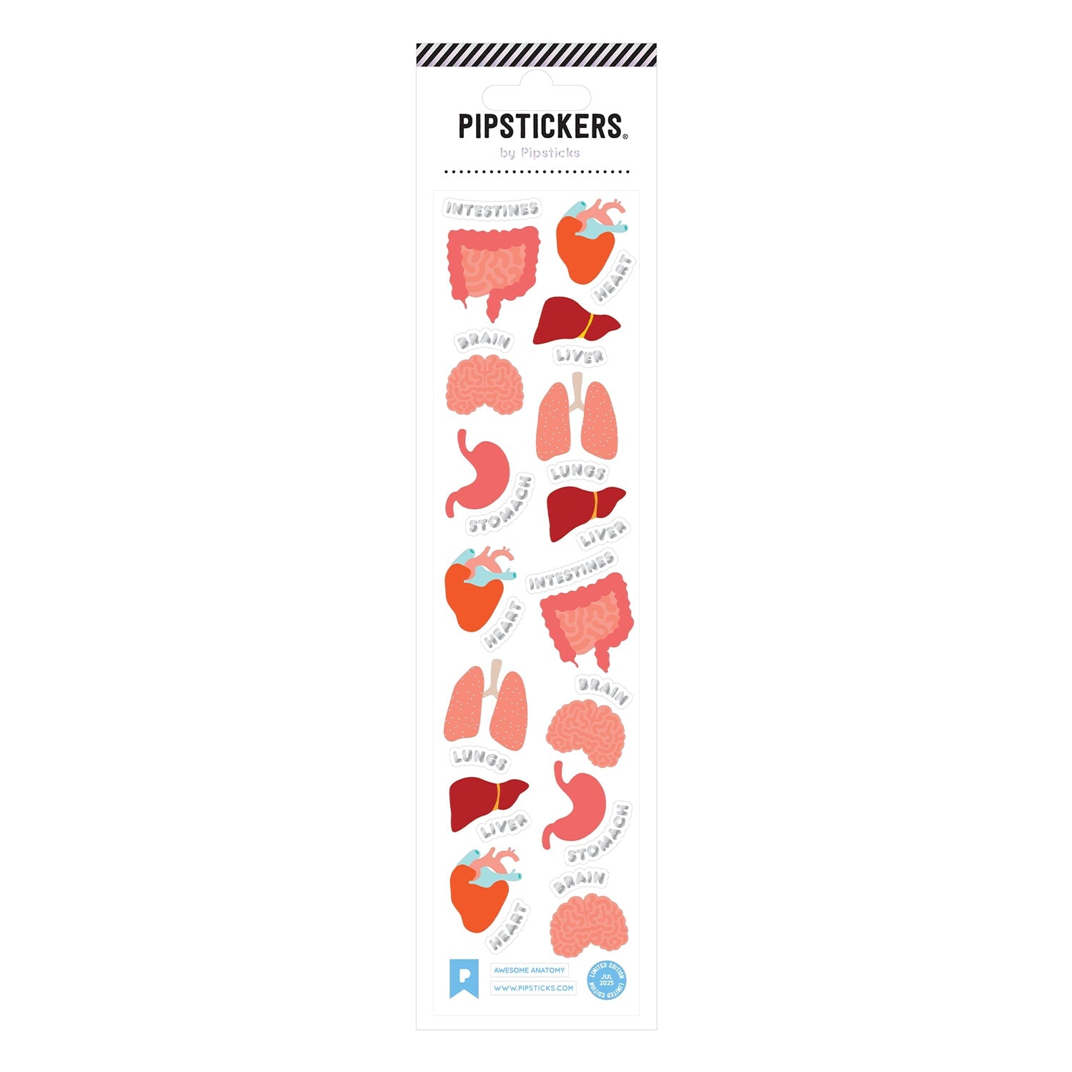 Awesome Anatomy