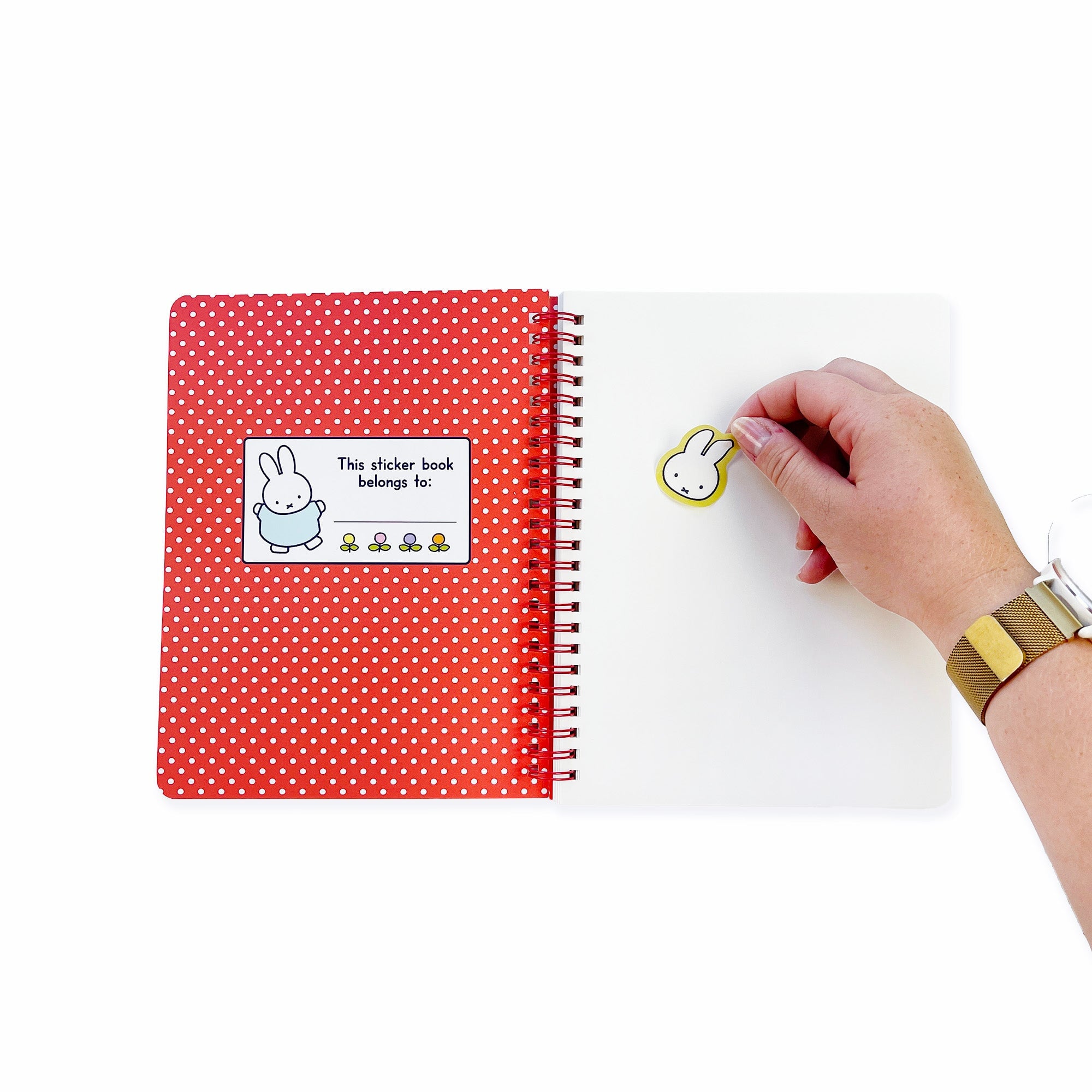 Miffy Stationery Box PRE-ORDER